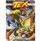 tex110