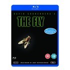 fly br