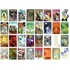 Promethea #1-32 KOMPLET