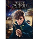 FBAWTFT_DVD