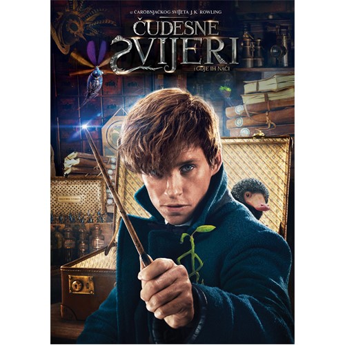FBAWTFT_DVD
