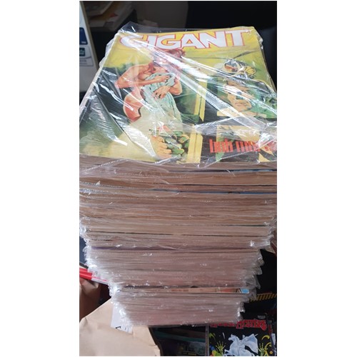 Gigant 1
