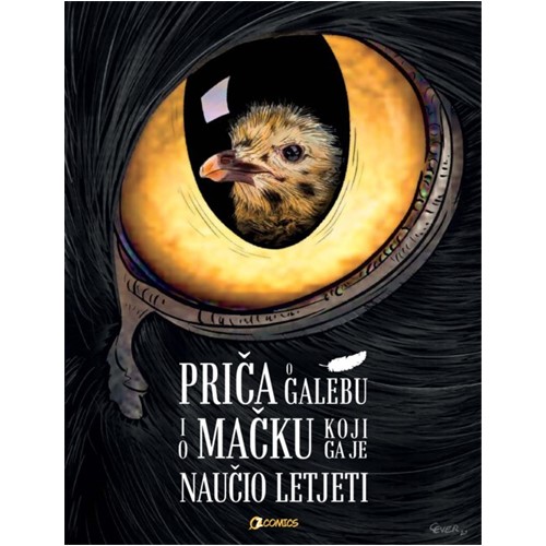 494677807_634430416263806_134257496707469220_n