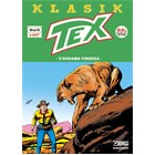 tex41