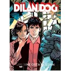 Dilan_DOG_231_B