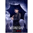 wednesday_yjaphufz
