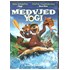 Medvjed Yogi