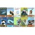 Animal Planet - KOMPLETAN DOKUMENTARNI SERIJAL (Izdanje na 10 DVD diskova)
