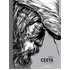 Cesta