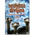 Neobična divljina