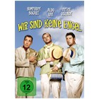 71SkDOu0d2L._SL1183_